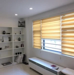 Stylish Blinds Designs